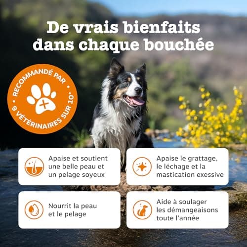 Zesty Paws Itch Relief Itch Relief - Anti-itch, Sensitive Skin - Treat Supplement - Rich in Salmon Oil & Omega 3 Fatty Acids | Supplement - 90 Units - Image 5