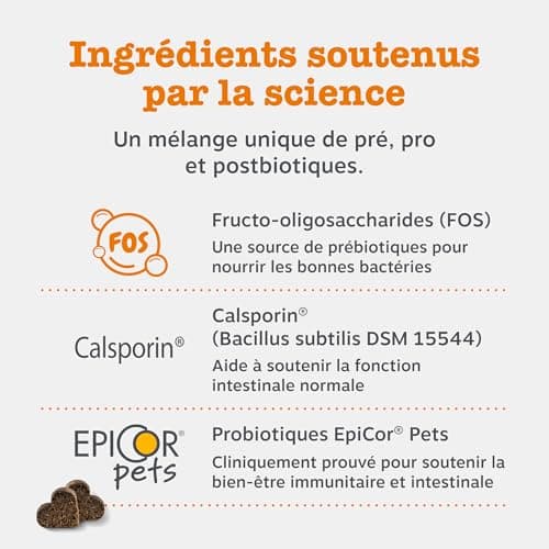 Zesty Paws Probiotic - Complément pour Chien sous Forme de friandise - Probiotique Chien - Système Immunitaire - Combinaison inédite prébiotiques, probiotiques et postbiotiques - 90 Unités - Image 6