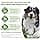 WHIMZEES by Wellness Antler, Antler, Antler Dental Treat with Calming Effects for Large Dogs (18-27 kg), All Natural, Grain Free, 6 Pieces - Image 6