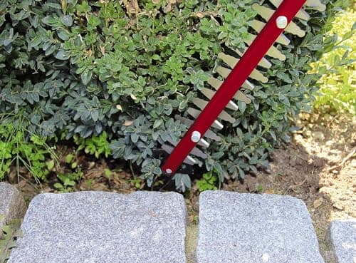 Einhell Electric Hedge Trimmer GC-EH 6055/1, Black/Red, 600 W - Cut 55 cm - Image 6