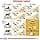 Norwegian Forest Cat Adult ROYAL CANIN 2kg Bag Premium Dry Food for Norwegian Adult Cats - Image 6
