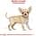 Royal Canin Chihuahua Puppy | 500 g | Complete Food Specially for Chihuahua Puppies | Up to 8 Months | Can Contribute to the Reduction of Stool Odors - Image 5