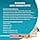 PURINA One BIFENSIS STERILCAT Dry Food for Sterilised Cats, Rich in Chicken, 1 Pack (1 x 5.7 kg) - Image 6