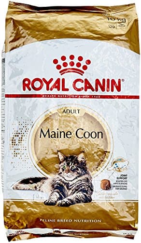 ROYAL CANIN MAINE COON ADULT 10kg Bag Premium Dry Food for Maine Coon Adult Cats. - Image 2
