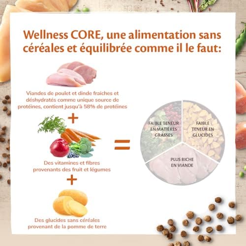 Wellness CORE Original 4 kg, Chicken/Turkey – Dry Food for Adult Cats, 100% Natural, Hypoallergenic, Rich in Meat - Image 4