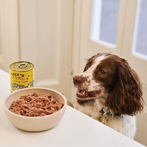 Lily's Kitchen Canned Natural Wet Food for Adult Dogs, Classic Recipes, Multipack (12 x 400 g Canned) - Image 7