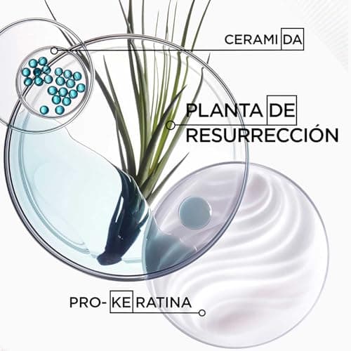 KÉRASTASE Resistance Strength Architect Mask - Strengthening & Repairing Hair Mask - VITA-CIMENT® Technology & Resurrection Sap - Damaged Hair - Brittle & Split Joint - 200 ml - Image 6