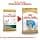 Royal Canin - Kibble for golden retriever junior - 12 kg - Image 8