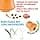 Ferplast Jouet Chien, Distributeur Croquettes ou Friandises, en Caoutchouc Naturel Durable à Mâcher, Arôme de poulet, Rebondissant, Lancer et rapporter, CRAZY BELL Jouets pour Grand Chien, Orange - Image 3
