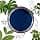 Cosm'Ethics - Blue Nila Powder 50g – Natural Powder from Morocco for Face & Hair Care – Discovery Format – Radiance & Hair Shine - Image 6