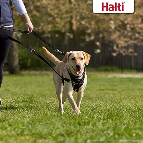 HALTI Training Leash - 7 Functions Designed to Help You Train and Walk Your Dog, Padded Double Ended Dog Training Leash for Dogs and Puppies (Small, Black, 2m) - Image 7