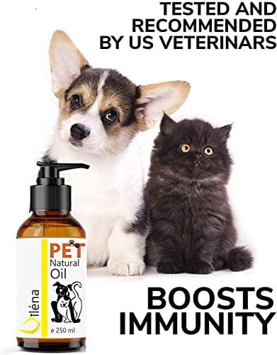 Premium Salmon Oil for Dogs & Cats | Omega 3, 6, 9, Vitamin E | Boost Energy, Vitality | Strengthens Immunity | Healthy Skin, Coat | 2000 ML - Image 4