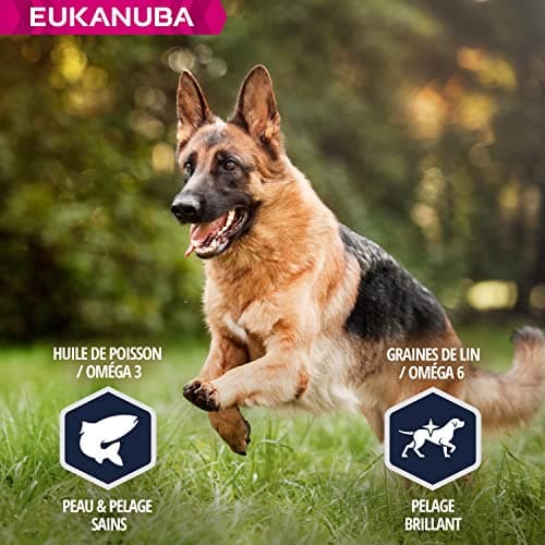 Eukanuba Dog Dry Food German Shepherd Chicken 12 kg - Image 7