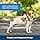 PetSafe Easy Walk Harness with No-Pull Buckle and 1.8 m Leash, Comfortable Walk for You and Him, 4 Adjustment Points, Durable, Easy to Put On and Off, Black, Size M - Image 6