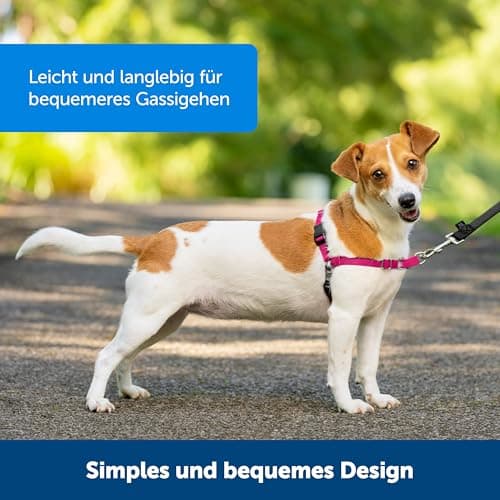 PetSafe Easy Walk Harness - Image 6