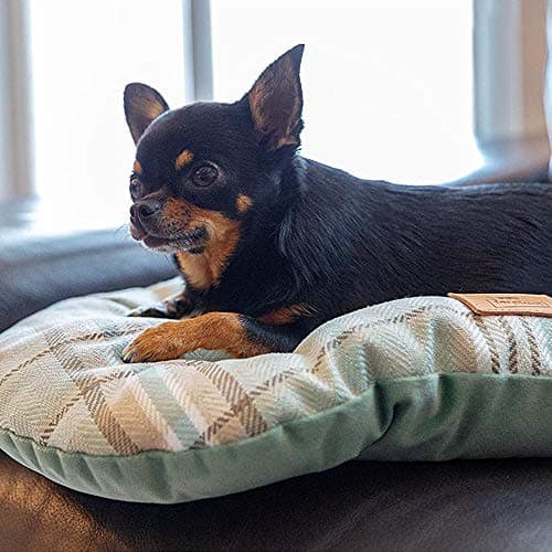 Ferplast Scott Double Sided Padded Cushion for Dog/Cat 45/2 Brown 1 Unit - Image 6