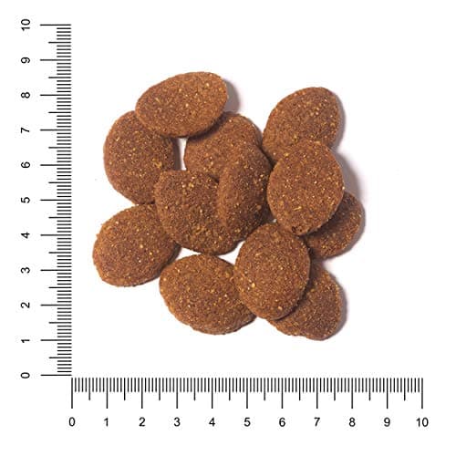 The Hunger of Wolf Croquettes pour chiens adultes de races de très grande taille, formule au poulet pour une meilleure santé articulaire, 14 kg - Image 4