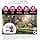 FRONTLINE Tri-Act Dog Fleas, Ticks, Mosquitoes, Phlebotomes & Stinging Flies – for Large Dogs 20 to 40 kg – Made in France – 6 Spot-On Pipettes - Image 4