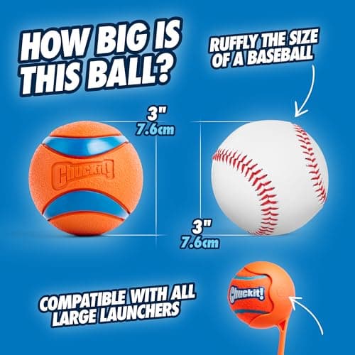 Chuckit Golf Ultra Ball Toy for Adult Dogs, Size L 1pc - Image 4