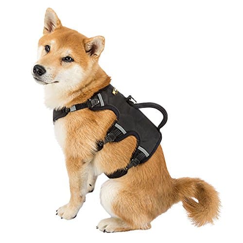 Ferplast Ergotrekking Medium Dog Harness, Anti-Escape, Anti-Panic, Greyhound, Reflective 6 Closures, Adjustable, Ideal for Excursions, Soft Padding - Image 5