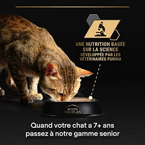 PURINA PRO PLAN | DELICATE DIGESTION | Complete Food for Adult Cats | Helps Promote a Healthy Digestive System | Sliced in Sauce | Turkey | Individual Serving | 10 x 85g - Image 8