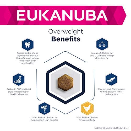Eukanuba Adult Daily Care Overweight or Sterilized Adult Dogs For All Breeds Chicken 12kg - Image 4