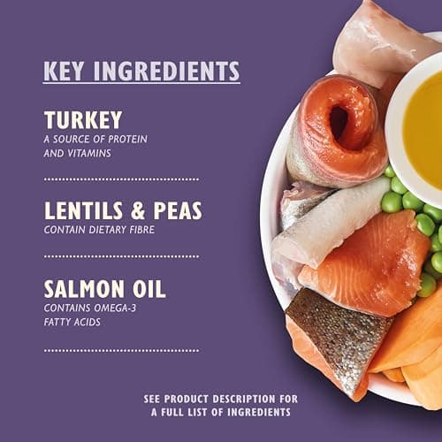 Lily's Kitchen Made from Natural Ingredients Dry Food for Senior Dogs Turkey & Trout Complete Nutrition 2.5kg Bag - Image 4