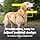PetSafe : 3 in 1 Dog Harness and Restraint Device - Image 5