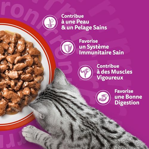 WHISKAS Les Mepas Classiques Wet Food in Adult Cat Sauce 24 x 85g (Pack of 2) 48 Sachets - Image 6