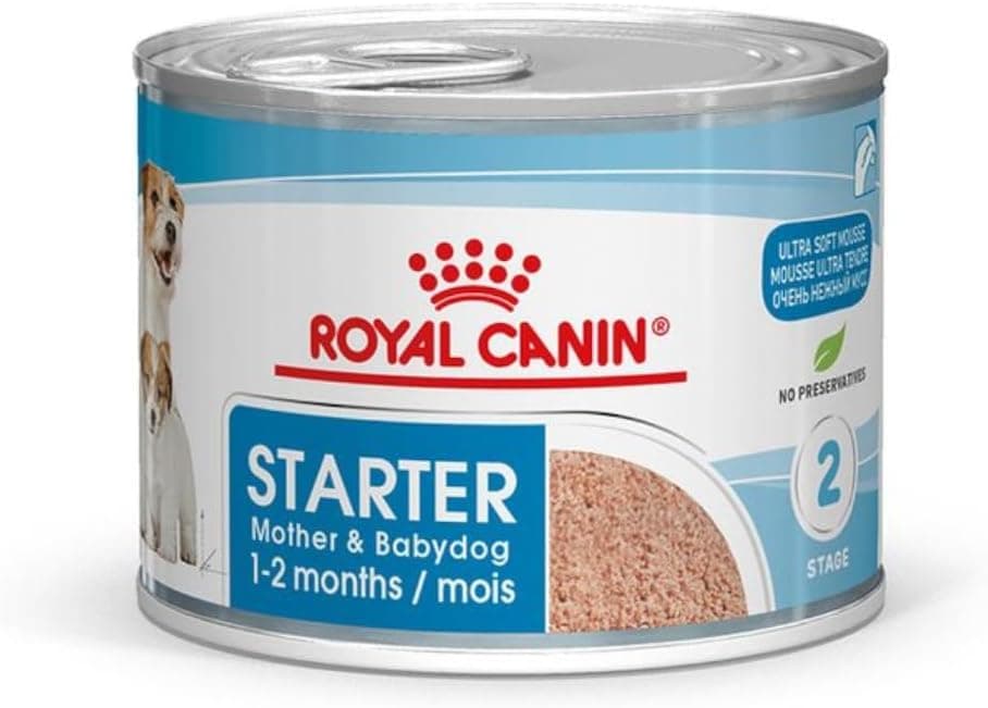 Royal Canin Mother & Babydog Starter Mousse | 12 x 195 g | Ultra Soft Foam Wet Food | for Dogs at the Last Third of Gestation and During the Breastfeeding Period