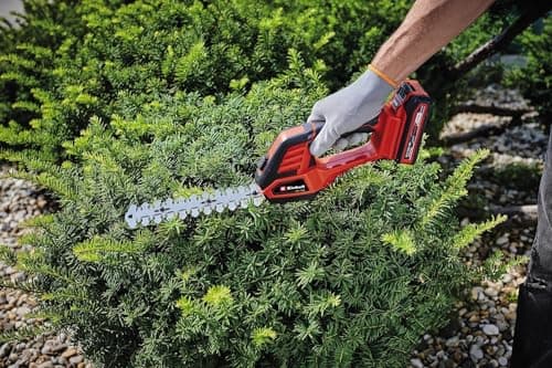 Einhell GE-CG 18/100 Li-Solo Power X-Change Cordless Lawn Shear (18V, Covered Gearbox, Blade Change without Tools) Delivered without Battery or Charger - Image 5