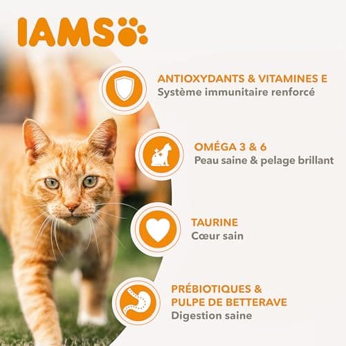 IAMS Advanced Nutrition - Croquettes Premium Chats Adultes - 100% Complètes et Equilibrées - Au poulet frais - Sans OGM Colorants Arômes Artificiels - Sac refermable 1,5 kg - Image 7