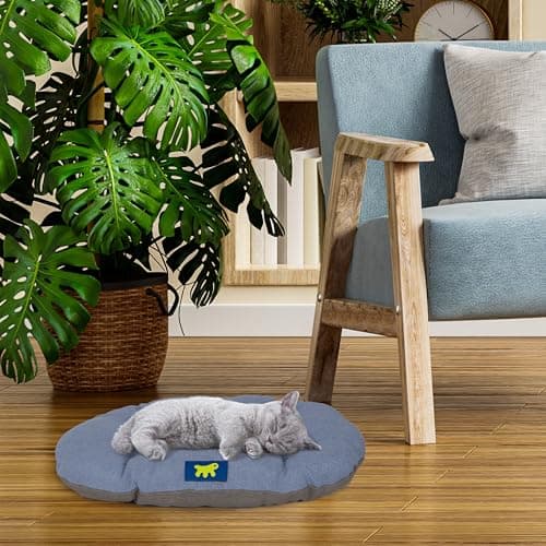 Ferplast Panier Chien Relax, Coussin pour Chiens de petite Taille, Panier Chats, Tapis pour chenils et voitures, Lavable, en coton avec rembourrage doux, 43 x 30 cm. Bleu ciel - Image 4