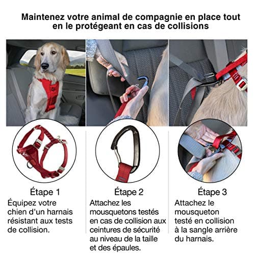 Kurgo Tru-Fit Dog Harness, Shock Tested Front D-Ring for No-Pull Training, Car Seat Belt Included, Black, XS - Image 7