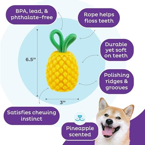 Outward Hound Planet Dog Jouet Dentaire à mâcher en Forme d'ananas et de friandises interactif Durable pour Chien, Jaune - Image 4
