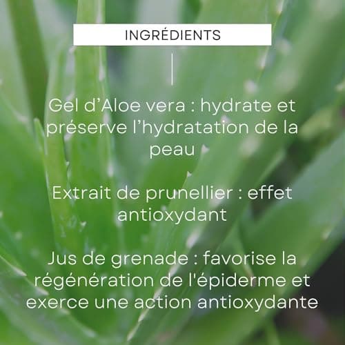 WELEDA Sérum Multiaction 5en1 Homme – Soin Visage Homme Anti-Âge, Hydratation 24h, Réduit Rides & Signes De L’Âge, Grenade & Prunellier Antioxydants, Aloe Vera Bio, Vegan NATRUE, 30ml - Image 6