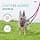 HALTI Anatomy Multifunctional Leash - Reflective Double Ended Shock Absorbing Leash Ideal for Walking and Training Dogs Suitable for Puppies (Large, Green) - Image 5