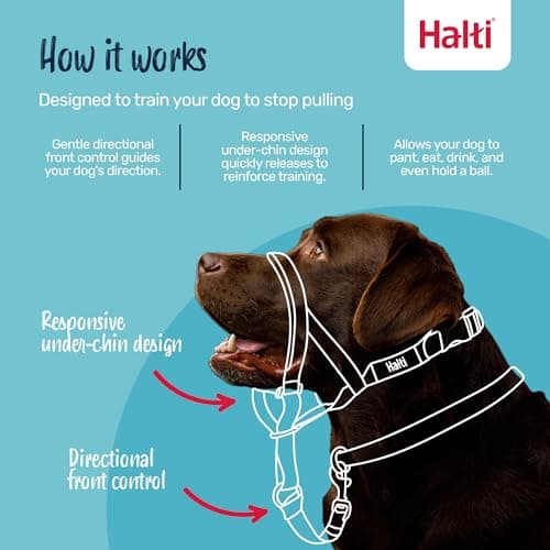 Halti Halter – To Stop Pulling On His Leash, Fully Padded On The Snout, Anti-Pull Collars for Medium Dogs (Size 2, Burnt Orange) - Image 4
