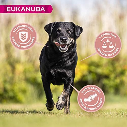 Eukanuba Senior Dog Dry Food for Large Breed Chicken 15 kg - Image 5