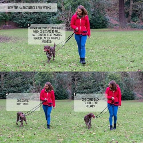 HALTI Control Lead, Black, 2 m, 2 Handles Designed to Help You Educate and Walk Your Dog, Padded Double Ended Dog Training Lead for Dogs and Puppies - Image 8