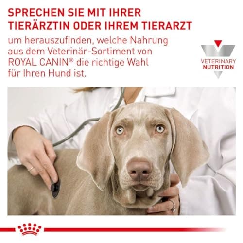 Royal Canin Expert Neutered Adult Small Dogs | 3.5 kg | Complete food for adult dogs of small neutered breeds | Predisposed to weight gain - Image 5