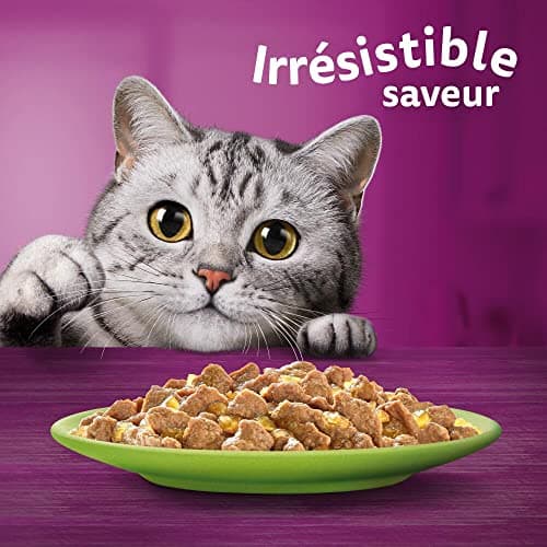 WHISKAS Jelly Food - 48 Freshness Sachets (Pack of 4 Packs 12 x 85g) - The Mixed Card (4 Varieties) - Complete Wet Food Suitable for Sterilized Adult Cats (Packaging May Vary) - Image 4