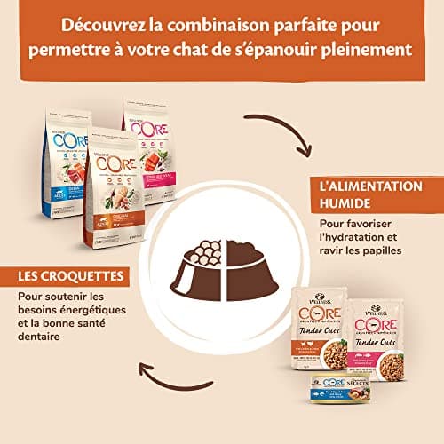 Wellness CORE Kitten 1.75 kg, Chicken/Turkey – Cereal Free, Natural, Hypoallergenic, High Protein, High Meat Content, Eye & Brain Develop - Image 7