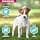 EUKANUBA Dog Daily Care Sensitive Digestion Puppy 2.3 kg - Image 5