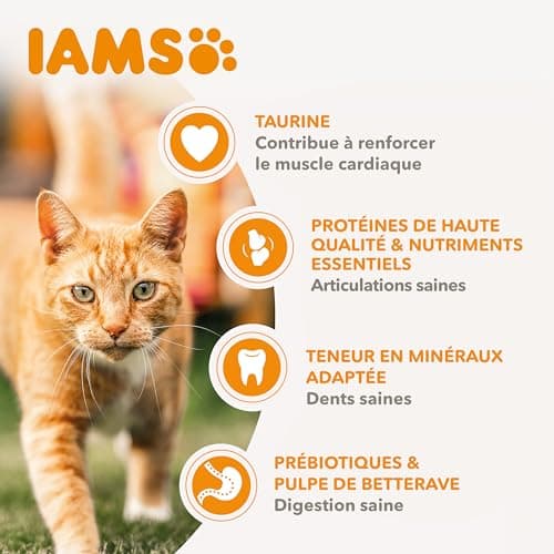 IAMS Fresh Chicken Food for Senior Cats 1.5 kg - Image 6