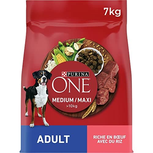 PURINA ONE | Medium & Large Adult Dog > 10kg | High Protein Dry Food | Helps Maintain Strong Muscles and Sufficient Energy | Beef | Bag | 7kg - Image 2