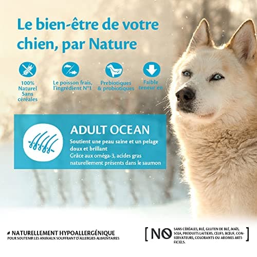Wellness CORE Océan 10 kg, Saumon/Thon – Croquettes pour Chiens Moyens/Grands, sans Céréales, Naturelles, Hypoallergénique, Riche en protéines, À Haute Teneur en Poisson, Peau Saine & Pelage Brillant - Image 4
