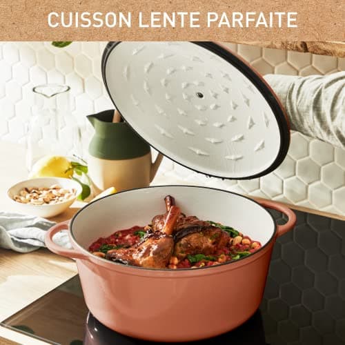 Tefal Lov E2600505 Cast Steel Round Casserole Dish 29 cm Induction Oven, Ecodesign, Slow and Healthy Cooking, Recipe Ebook Included, Terracotta - Image 6
