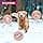 Eukanuba Senior Dog Dry Food For Medium Breed Chicken 3 kg - Image 6