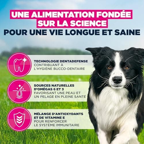 EUKANUBA Life Care Croquettes Chien Adulte Moyenne Race 1 à 7 Ans, Riche en Poulet Frais, Maintient d’Un Poids Optimal, L-Carnitine, Oméga 3&6, FOS, sans colorants, arômes artificiels ni OGM – 15 kg - Image 7